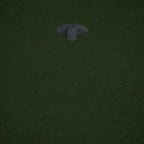 Pannlampa Ultra - 1200 lumen LED 230°